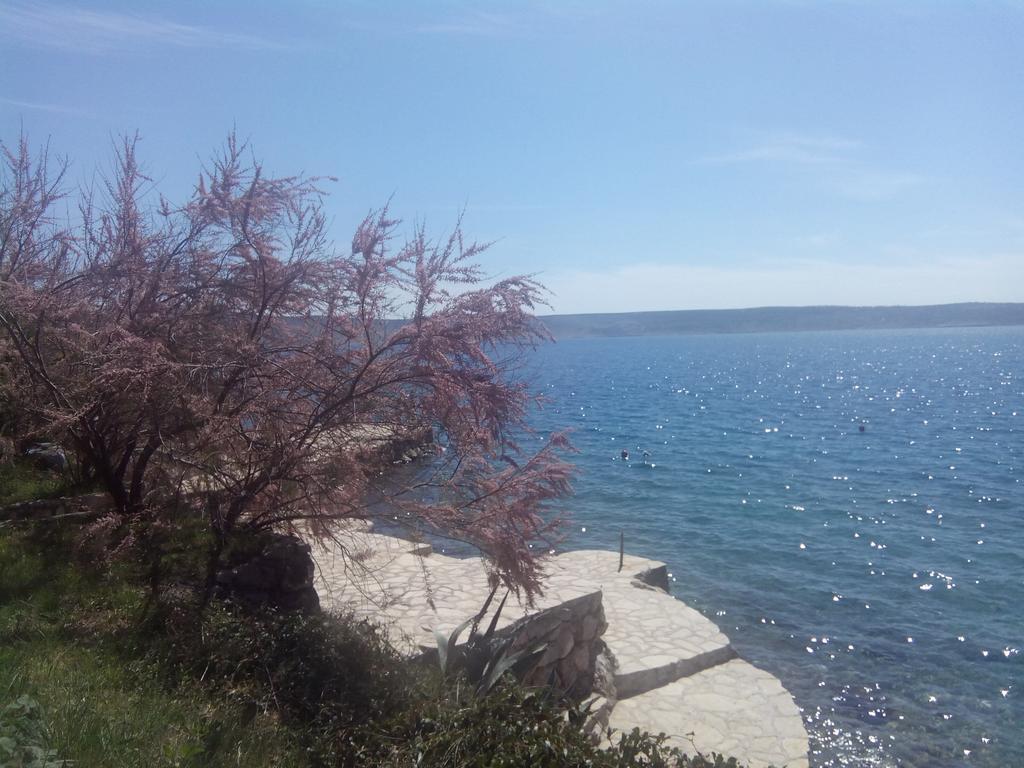 Apartments Ivanka Starigrad Paklenica Δωμάτιο φωτογραφία